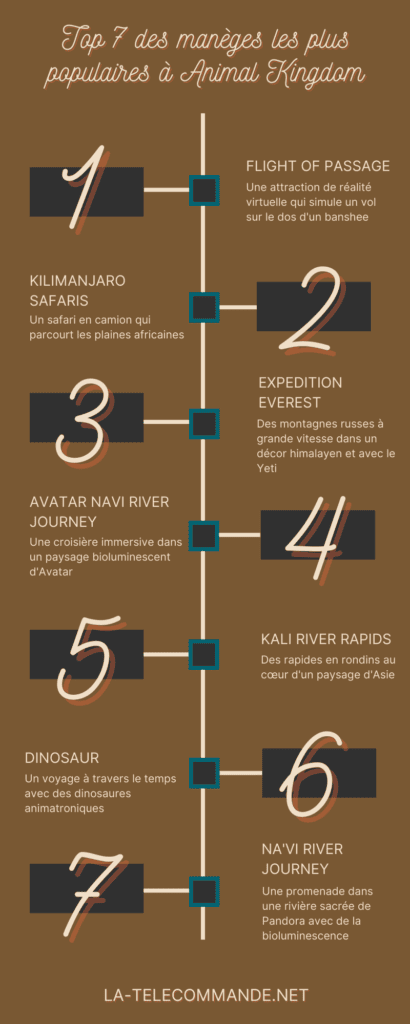 Infographie manèges les plus populaires à Animal Kingdom